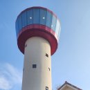 용인 자작나무 이미지