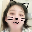 분당서울대병원 신장조직검사 2박3일 입원 후기