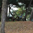 우제류를위하여 Daum카페