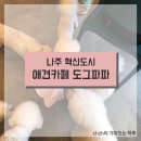 도그파파 이미지