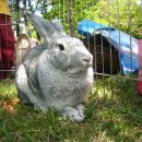 장우진동물병원 이미지