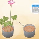 양지-3351 이미지