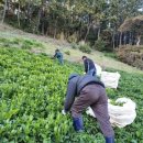 울릉도바닷가 상일펜션 이미지