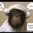 여시상사 이미지
