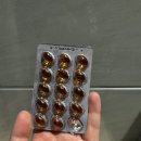 라이프트리 이미지