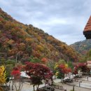 삼일당구장 - 아산시 음봉로 847 | 홍천 오토캠핑장 J캠핑장 vs 주변 캠핑장 — 계곡 앞 가성비 찐후기