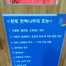 고양스파24시불한증막사우나 이미지