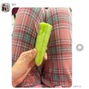 영원이란 말을 함부로 붙이고 싶은/5월 일상(하)