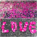 감당농장 이미지