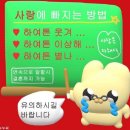꽃꽂이(야) | [6월] 햇살따라 흐른 6월