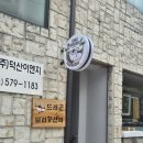 [천안] 도마뱀 입문 추천 드래곤브리딩센터 !(크리스티드게코 후기)