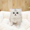 영등포 민박 이미지