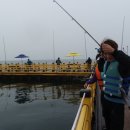 천수만해상낚시공원 이미지