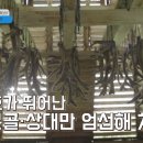 강릉한의원 네이버블로그