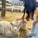 남해-179 | 남해 여행 아이랑 가볼만한곳 동물체험 양마르뜨언덕