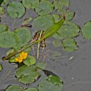 인지초등학교병설유치원 이미지