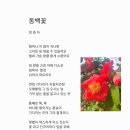 동백양과 이미지