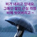 김건모/빗속의여인 이미지