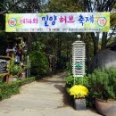 산골단감농원 | <밀양> 밀양여행 가볼만한곳 꽃새미마을 - 참샘 허브나라