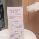 부산시민회관 | 26.3.19 발레 백조의호수 부산시민회관 후기