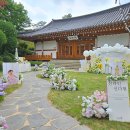 아이아이스냅