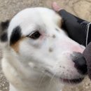 간식이모 이미지