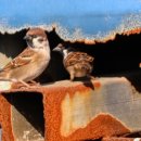 학동경로당 이미지