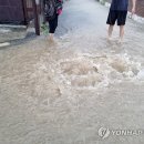 안목주유소 이미지