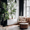 차문화(차와 문화) | 전남 보성 녹차밭 풍경과 차 문화 체험 후기