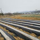 호서농장 이미지