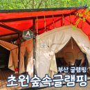 초원숲속가든 | 부산 글램핑장 초원숲속글램핑 내돈내산 A동 후기