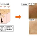 온누리화장품