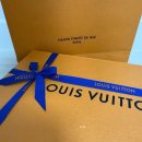 블로뉴 | 루이비통 나노 블로뉴 구입 후기