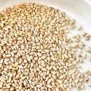 농업회사법인 (주)한올 이미지