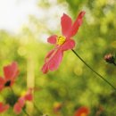 은혜자동차 이미지