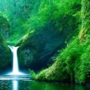 개마고원 이미지