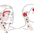 지투피트니스 이미지