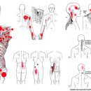 구로바른재활의학과의원 이미지