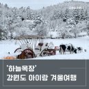 아이랑 국내여행 하기 좋은 강원도 대관령 하늘목장 입장료 및 반려견입장료