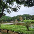 금산인삼골오토캠핑장 이미지