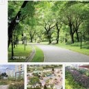 더포레스트 이미지