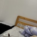 호주워홀 | 겨울나기 용품(우디, 전기장판) 추천