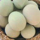 자연애반찬 이미지