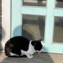 지에스25 파주프로방스 이미지