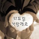 다드림 이미지