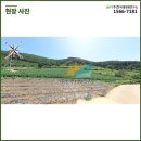 고려태양광발전소 이미지