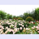 곡성-085 티스토리