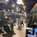 골든 피티 이미지