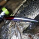 원줄농장 이미지