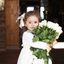 분당-168 이미지